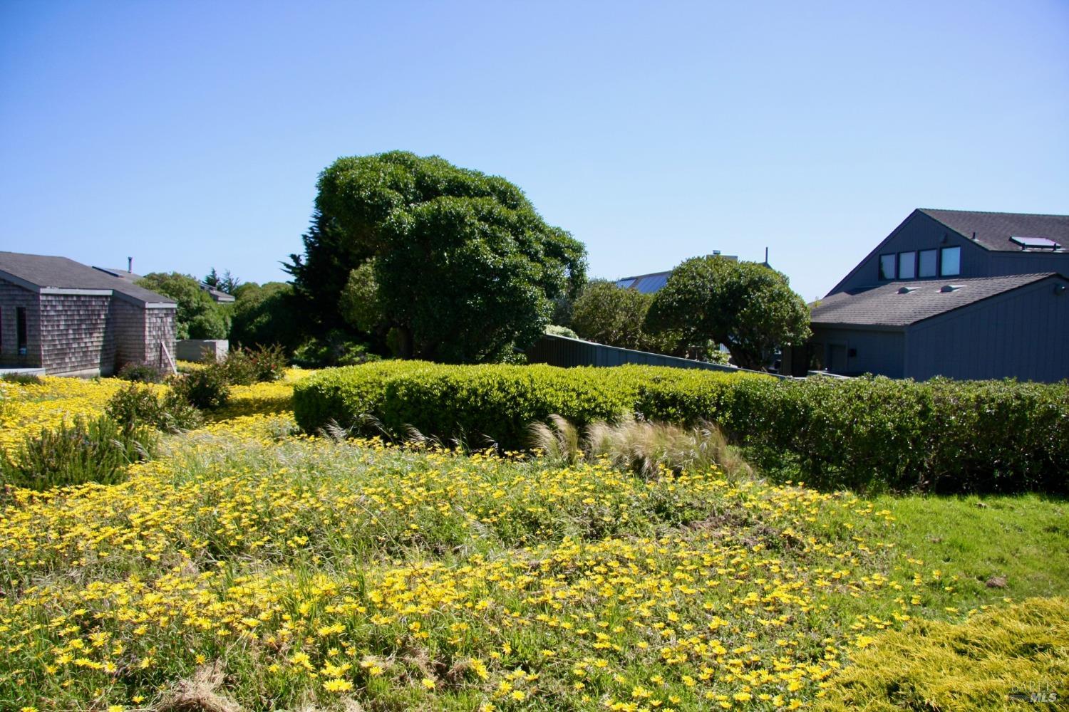 1968 Sea Way Bodega Bay, CA 94923 - Photo 8 of 23