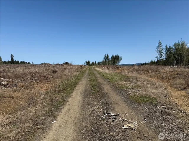 a view of a dry yard with trees in the background