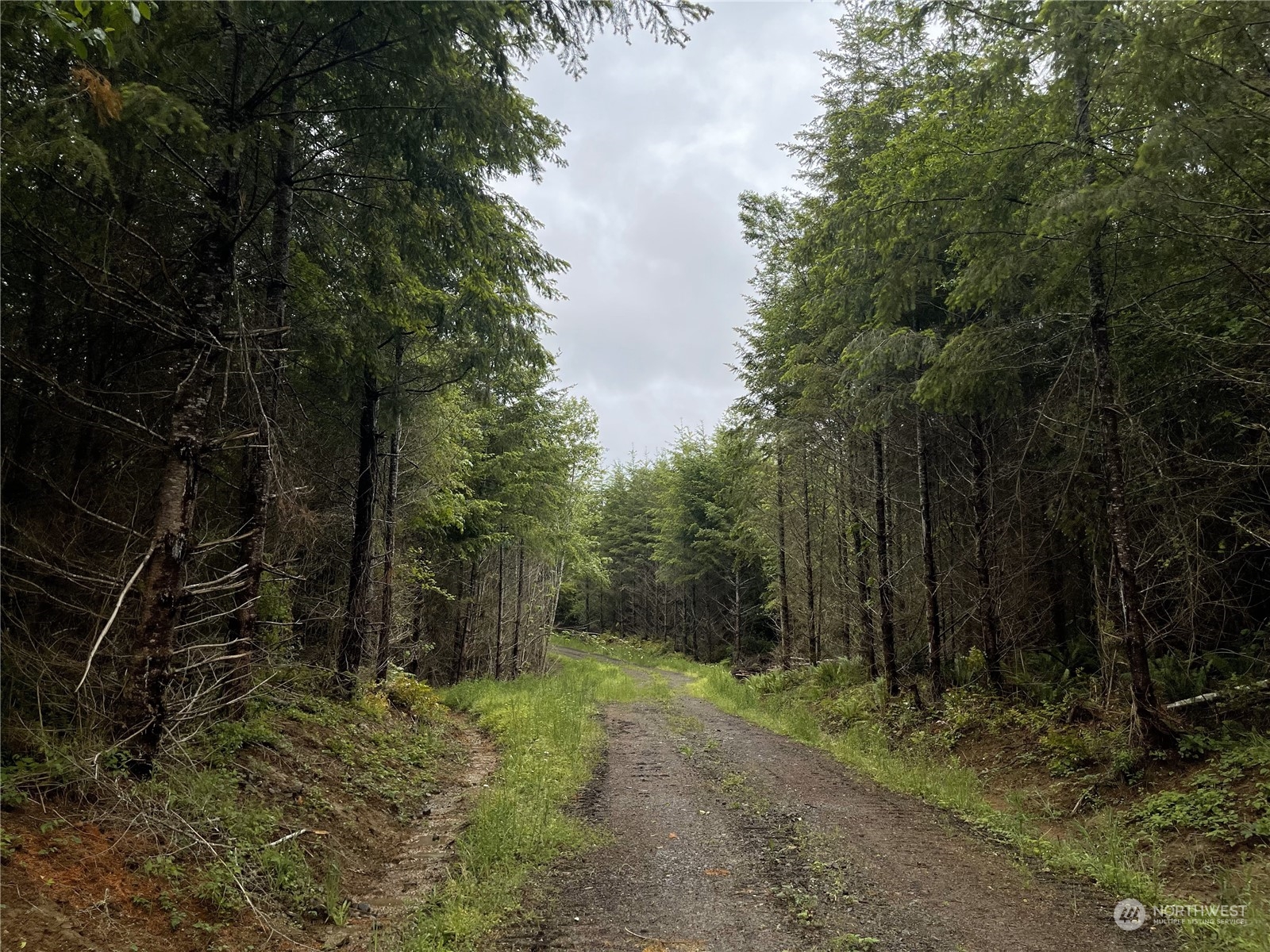 3-xx Centralia Alpha Road Chehalis, WA 98532 - Photo 3 of 5