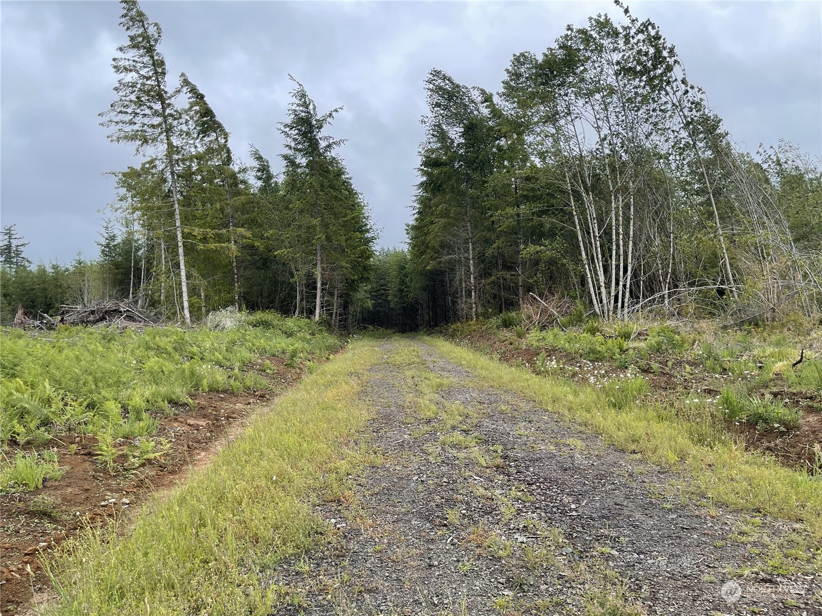 3-xx Centralia Alpha Road Chehalis, WA 98532 - Photo 4 of 12