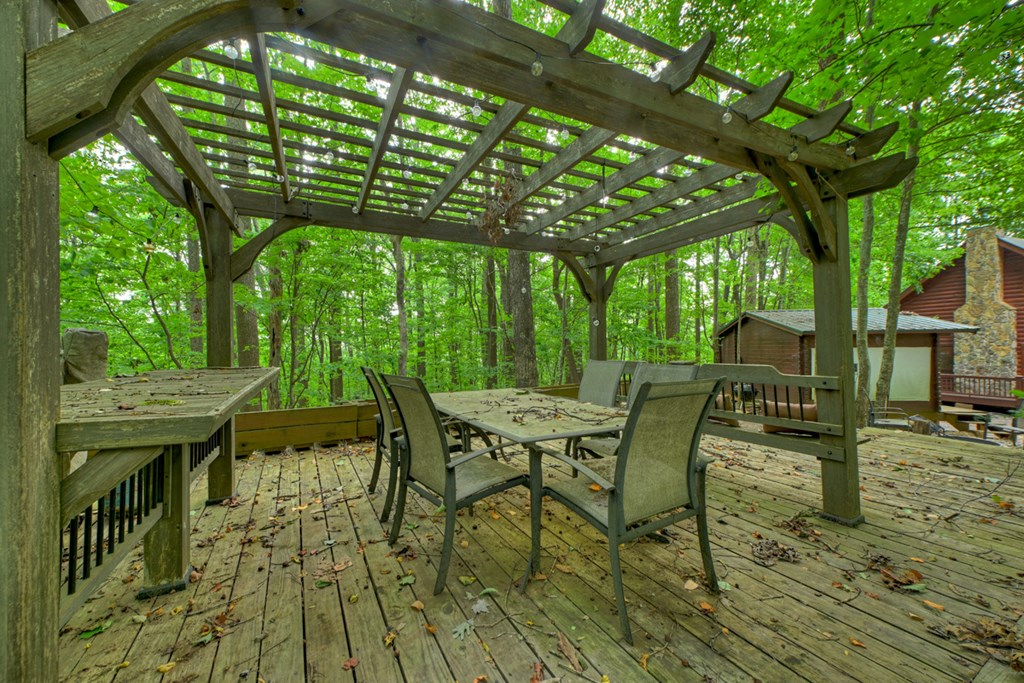 541 Little Bushy Head Road Blue Ridge, GA 30513 - Photo 14 of 45 Gallery Image 14