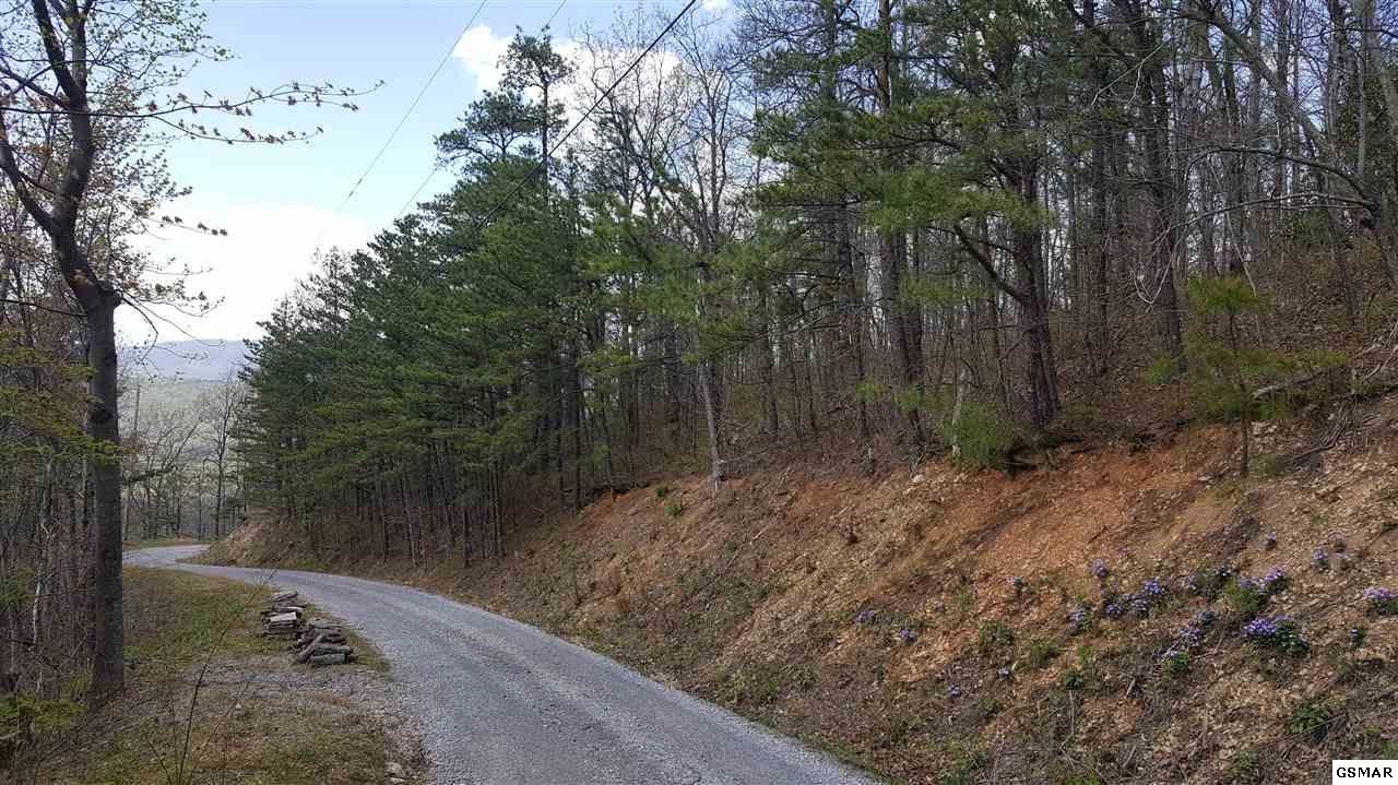 21 Cove Mountain Road Sevierville, TN 37862 - Photo 8 of 21 Gallery Image 8