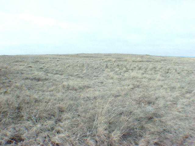 0 South Rambo Road Fairchild Air Force Base, WA 99011 - Photo 1 of 3 Gallery Image 1