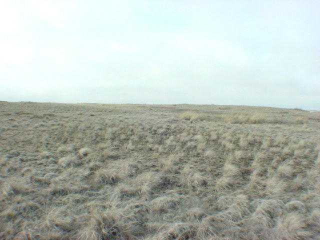 0 South Rambo Road Fairchild Air Force Base, WA 99011 - Photo 2 of 3 Gallery Image 2