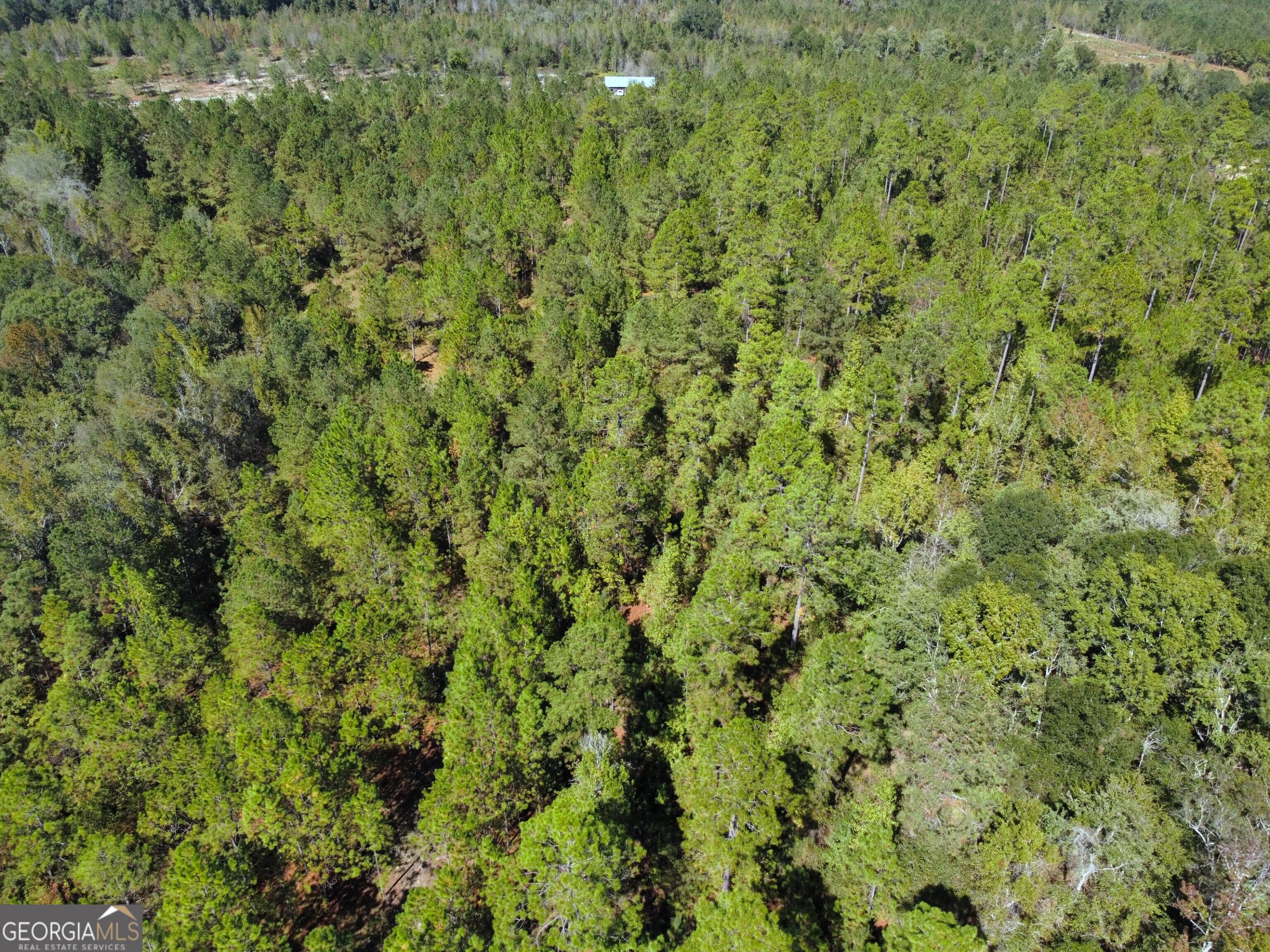 843 Daniel Mimbs Road East Dublin, GA 31027 - Photo 2 of 4