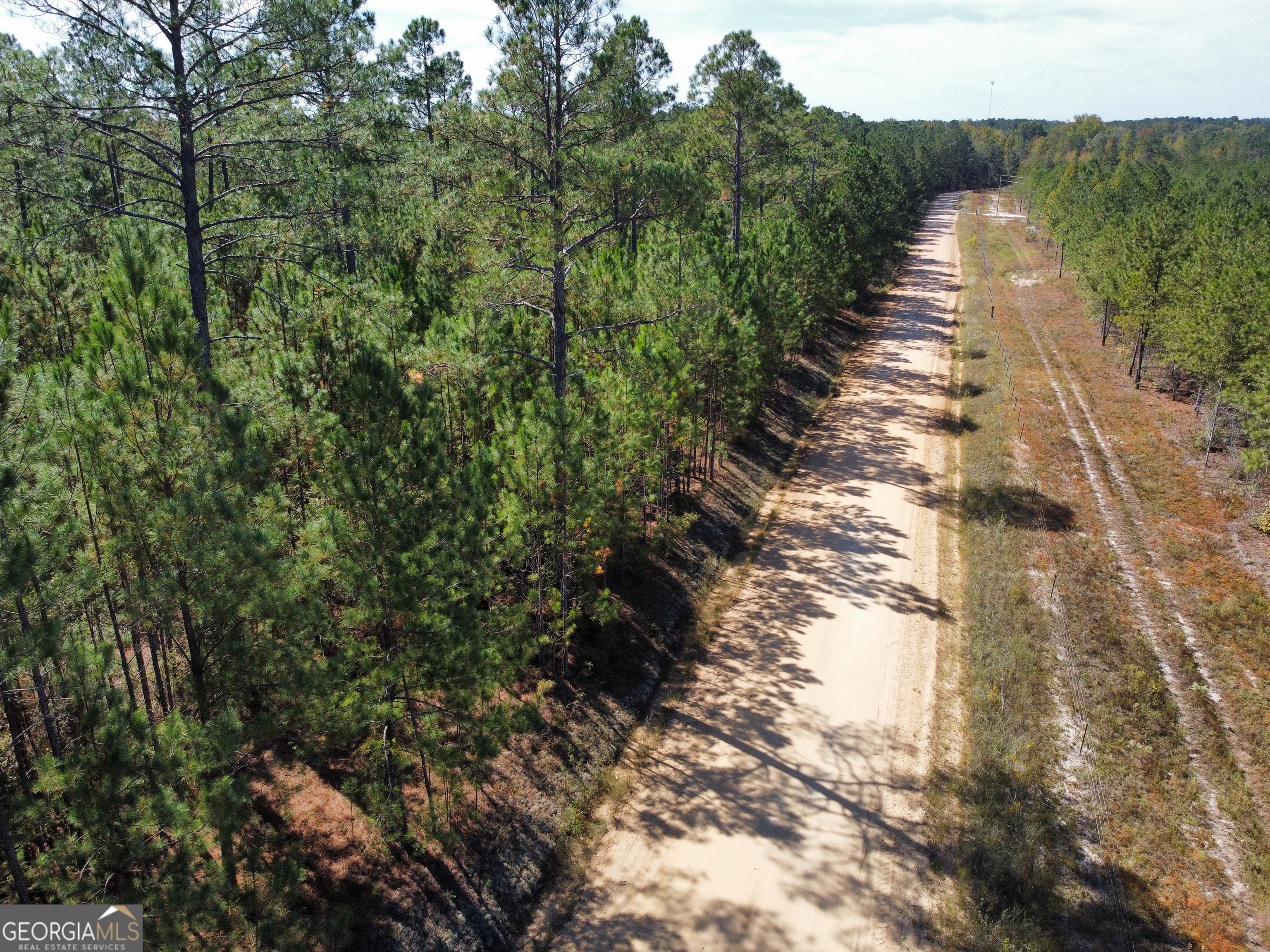 843 Daniel Mimbs Road East Dublin, GA 31027 - Photo 4 of 4