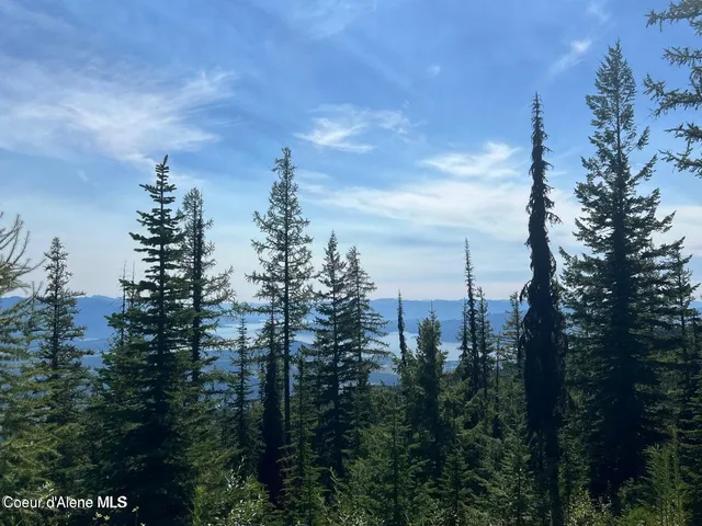 $485,000 | L3-b2 Tall Timber Road, Sandpoint, ID 83864