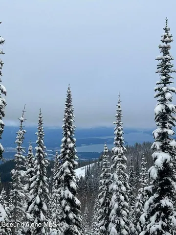 $485,000 | L3-b2 Tall Timber Road, Sandpoint, ID 83864