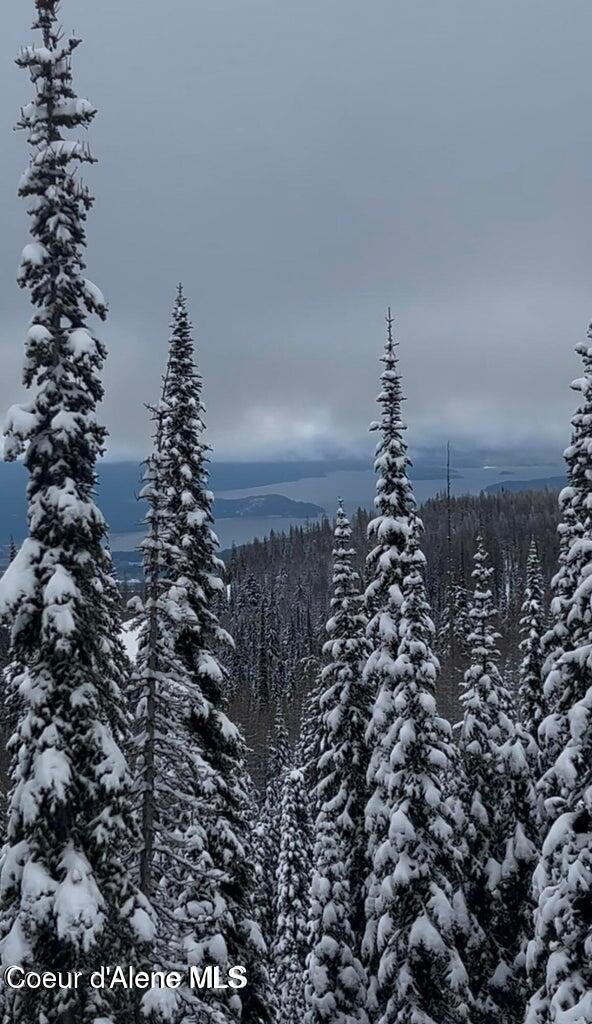 L3-b2 Tall Timber Road Sandpoint, ID 83864 - Photo 5 of 7 20260110004241735193000000-o