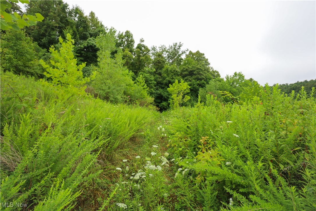 30939 Jacks Run Road Quaker City, OH 43773 - Photo 40 of 48 Gallery Image 40