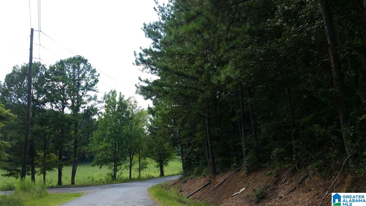 1885 Brooks Lake Road Lincoln, AL 35096 - Photo 17 of 30