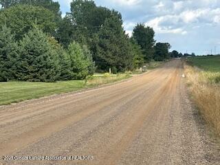 4383 West Cutler Road Dewitt, MI 48820 - Photo 12 of 15 IMG_3999