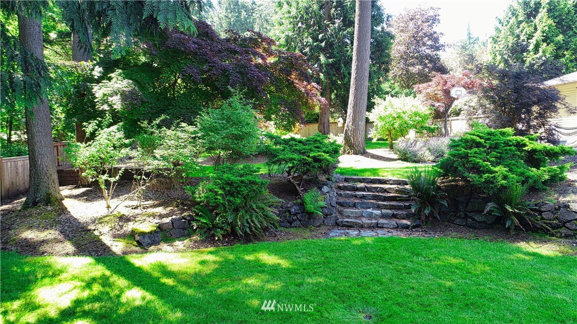 21129 49th Avenue Southeast Bothell, WA 98021 - Photo 36 of 40 a view of a yard with plants and large trees