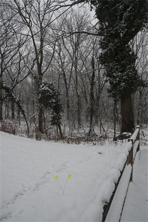114 Leland Road Boston, MA 02467 - Photo 22 of 22 a view of a covered with snow in the yard