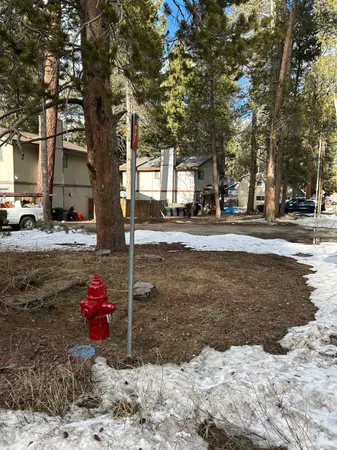 a view of a yard with a tree