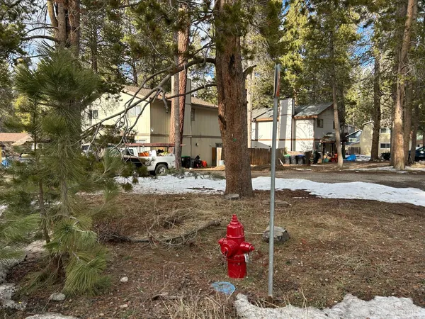 a street view with large trees
