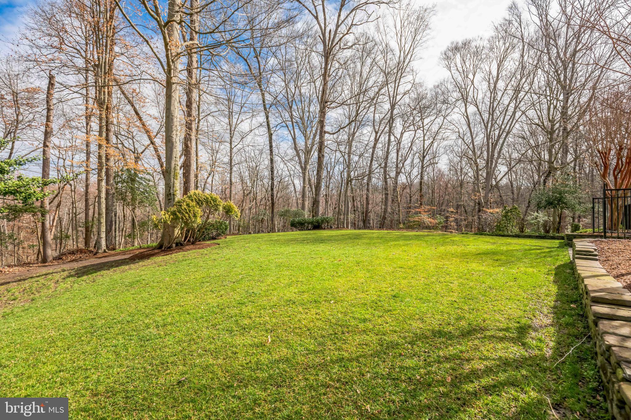 12053 Steven Lane Dunkirk, MD 20754 - Photo 40 of 45 Lawn Area