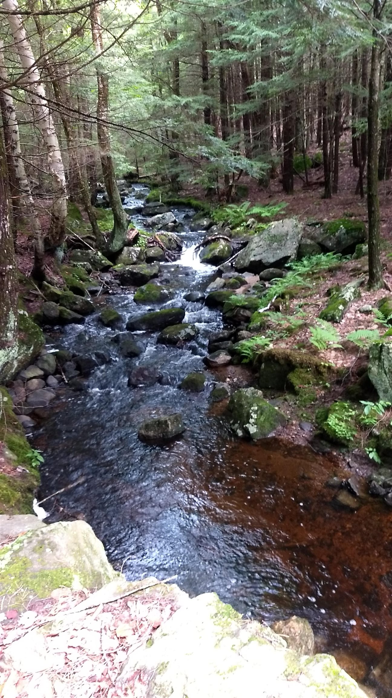 166 Clough Road Pittsfield, NH 03263 - Photo 24 of 24