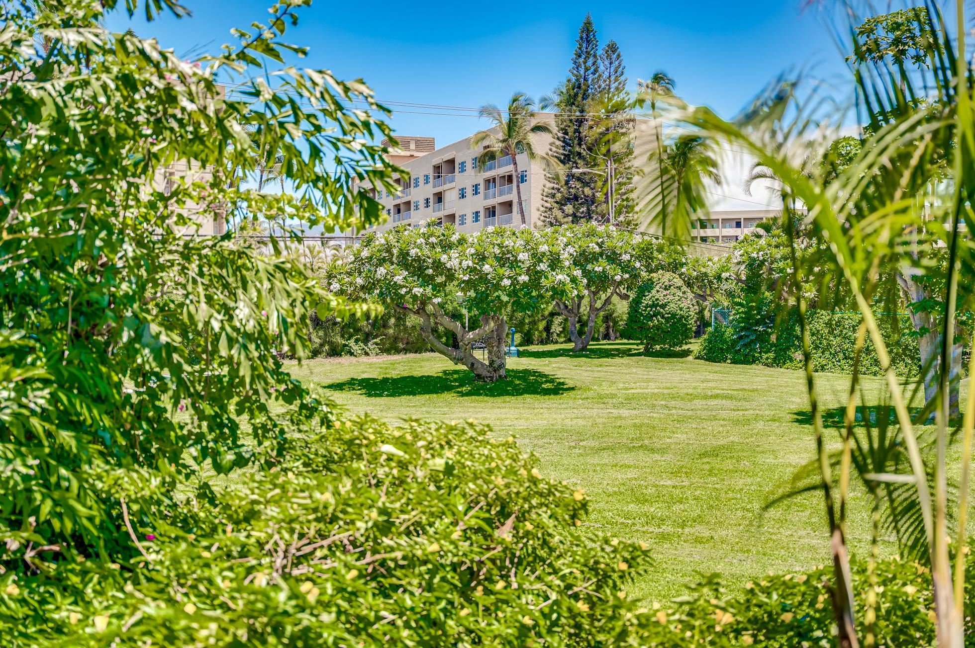 811 South Kihei Road, Unit 5D Kihei, HI 96753 - Photo 15 of 39 a view of a yard with a tree