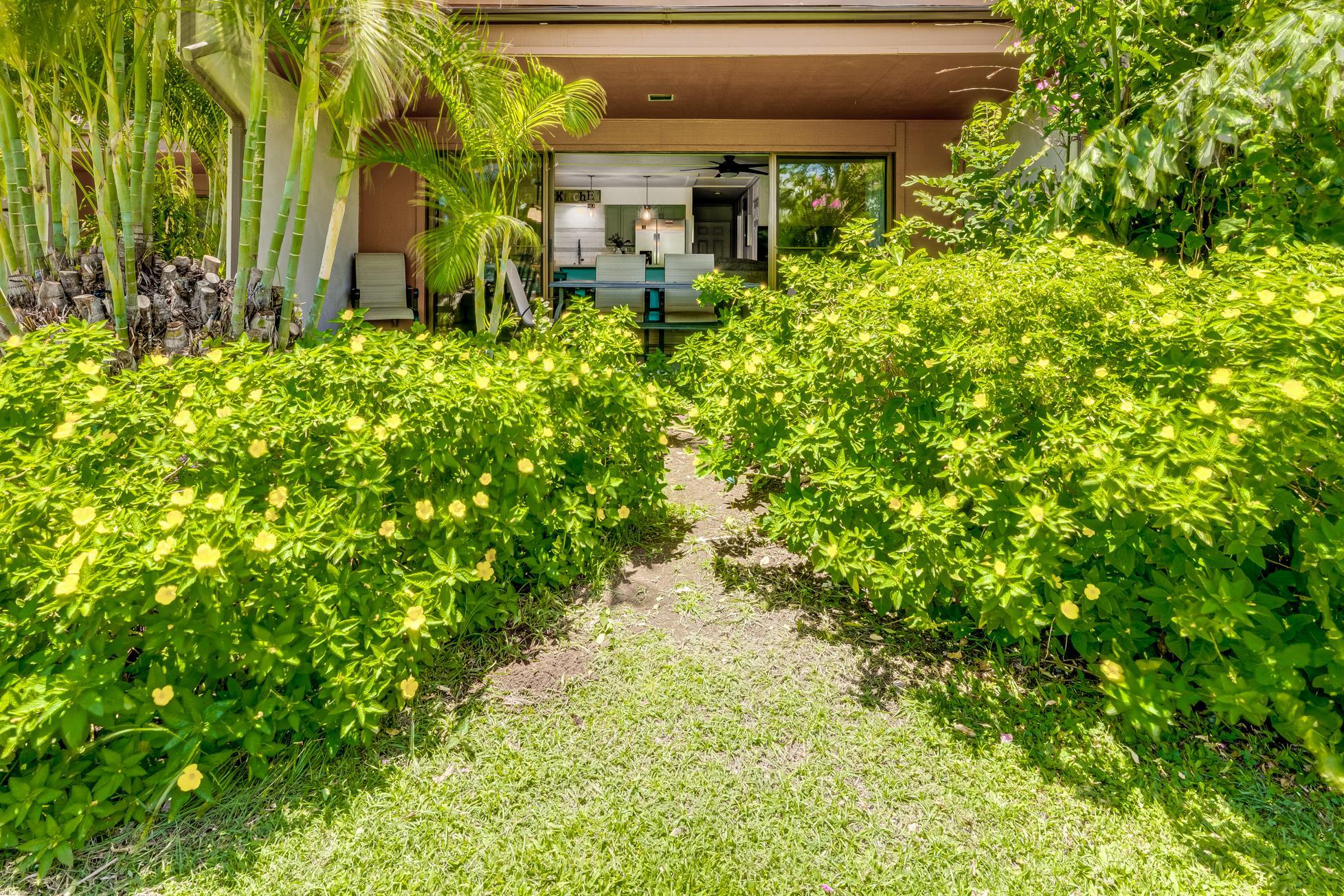 811 South Kihei Road, Unit 5D Kihei, HI 96753 - Photo 16 of 39