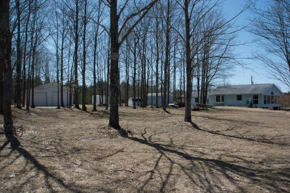 9455 Crouch Road Southeast Fife Lake, MI 49633 - Photo 42 of 47 1845674-41.JPG