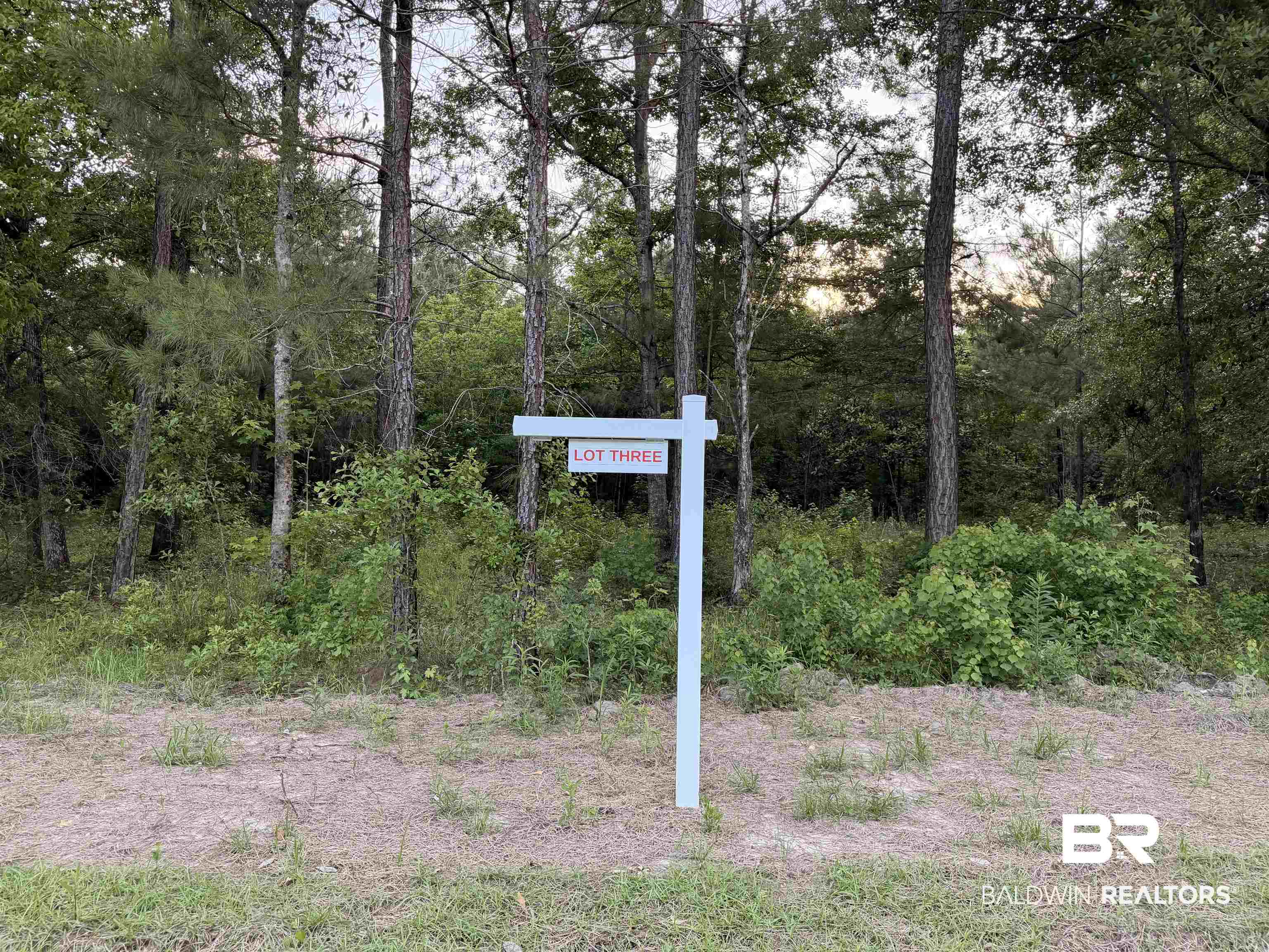 -pine Grove Rd Pine Grove Rd Pine Grove Road Bay Minette, AL 36507 - Photo 5 of 14
