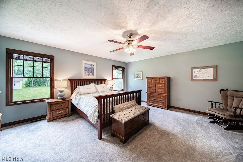 11590 Girdled Road Painesville, OH 44077 - Photo 21 of 32 Gallery Image 21
