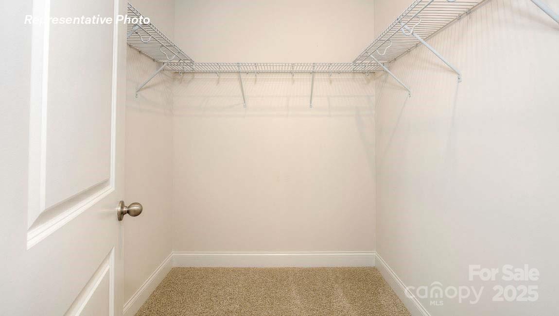 3121 Spring Iris Drive Denver, NC 28037 - Photo 12 of 23