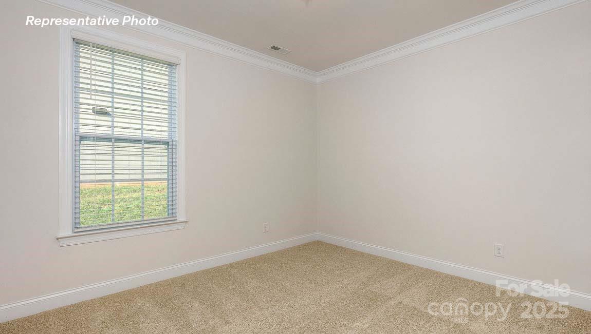 3121 Spring Iris Drive Denver, NC 28037 - Photo 18 of 23