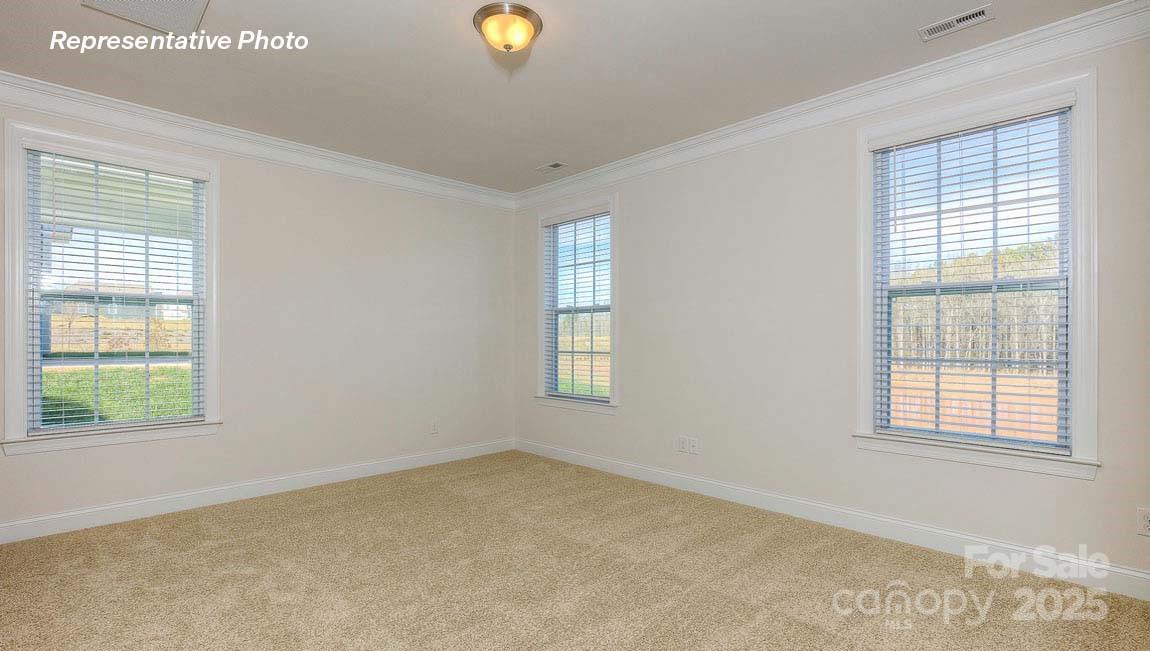 3121 Spring Iris Drive Denver, NC 28037 - Photo 8 of 23