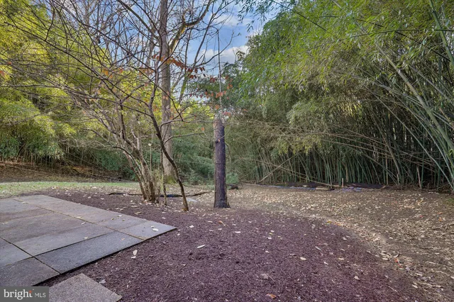 a view of outdoor space with trees