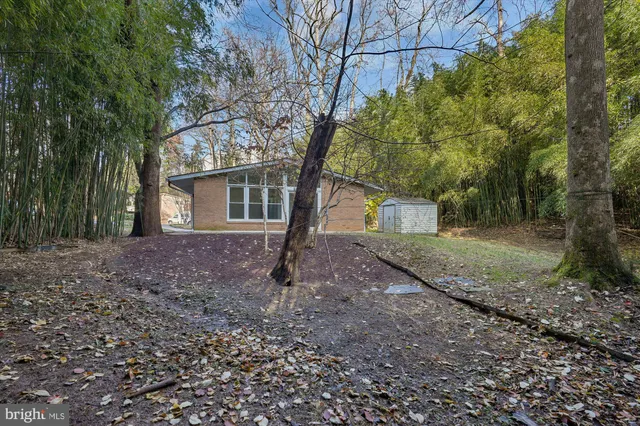 a view of a house with yard and a tree
