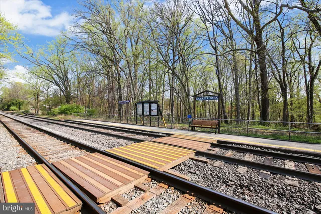 a view of a yard with wooden deck and trees