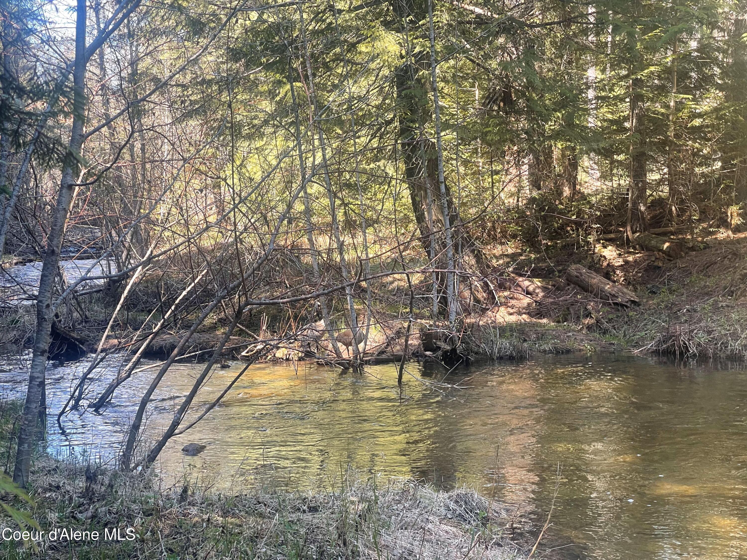 Nna Nna Road Bonners Ferry, ID 83805 - Photo 1 of 1 Awesome Meadow Creek