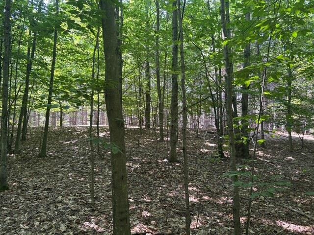 Erdt Road Suttons Bay, MI 49682 - Photo 8 of 36 Gallery Image 8
