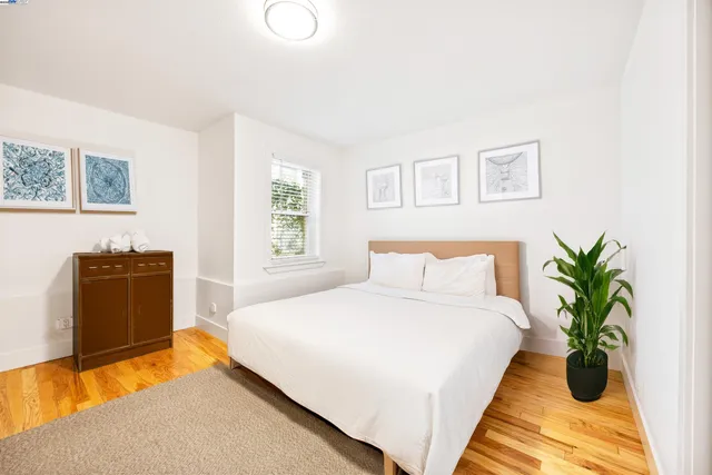 a spacious bedroom with a bed and a potted plant
