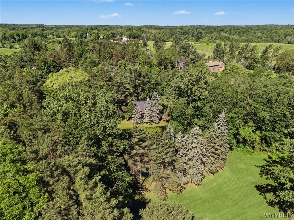 10985 Griswold Road Darien, NY 14040 - Photo 49 of 50