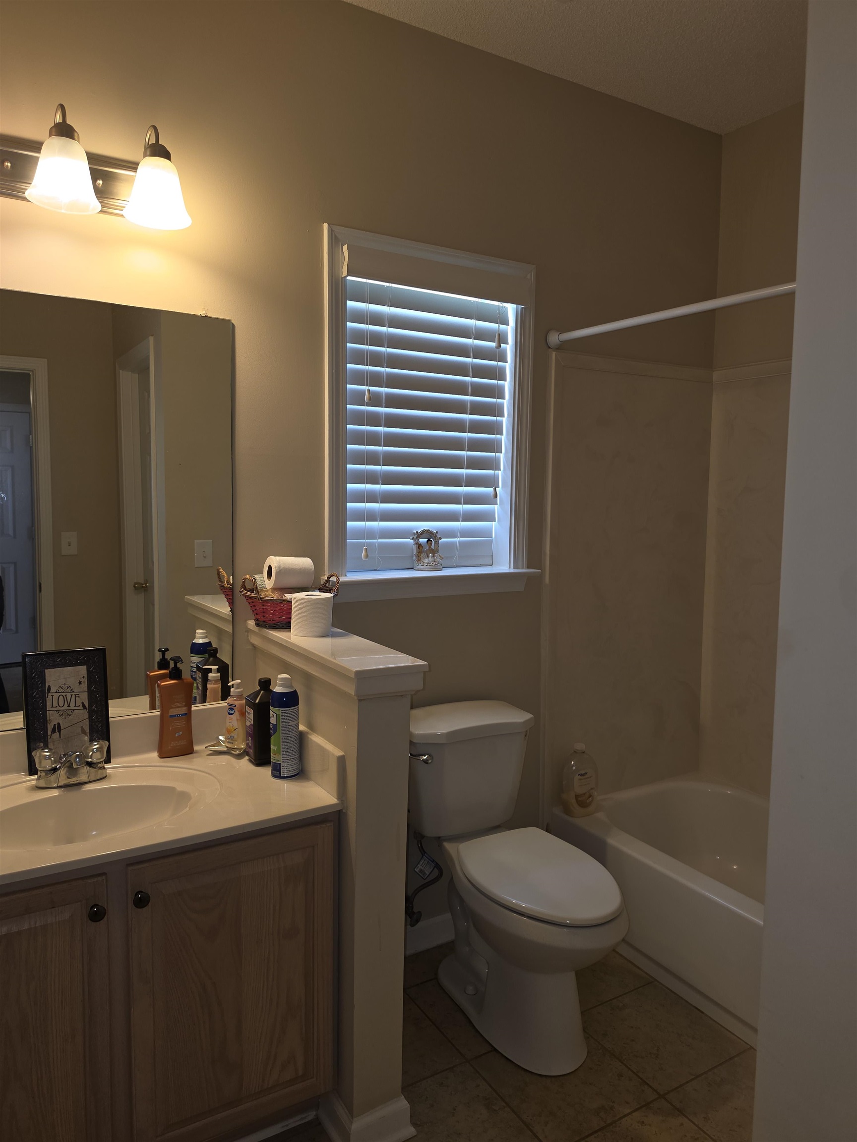 7253 Rourke Circle Memphis, TN 38125 - Photo 13 of 31 Bathroom featuring a single vanity with wood-finish cabinetry, a rectangular sink, and a large wall-mounted mirror