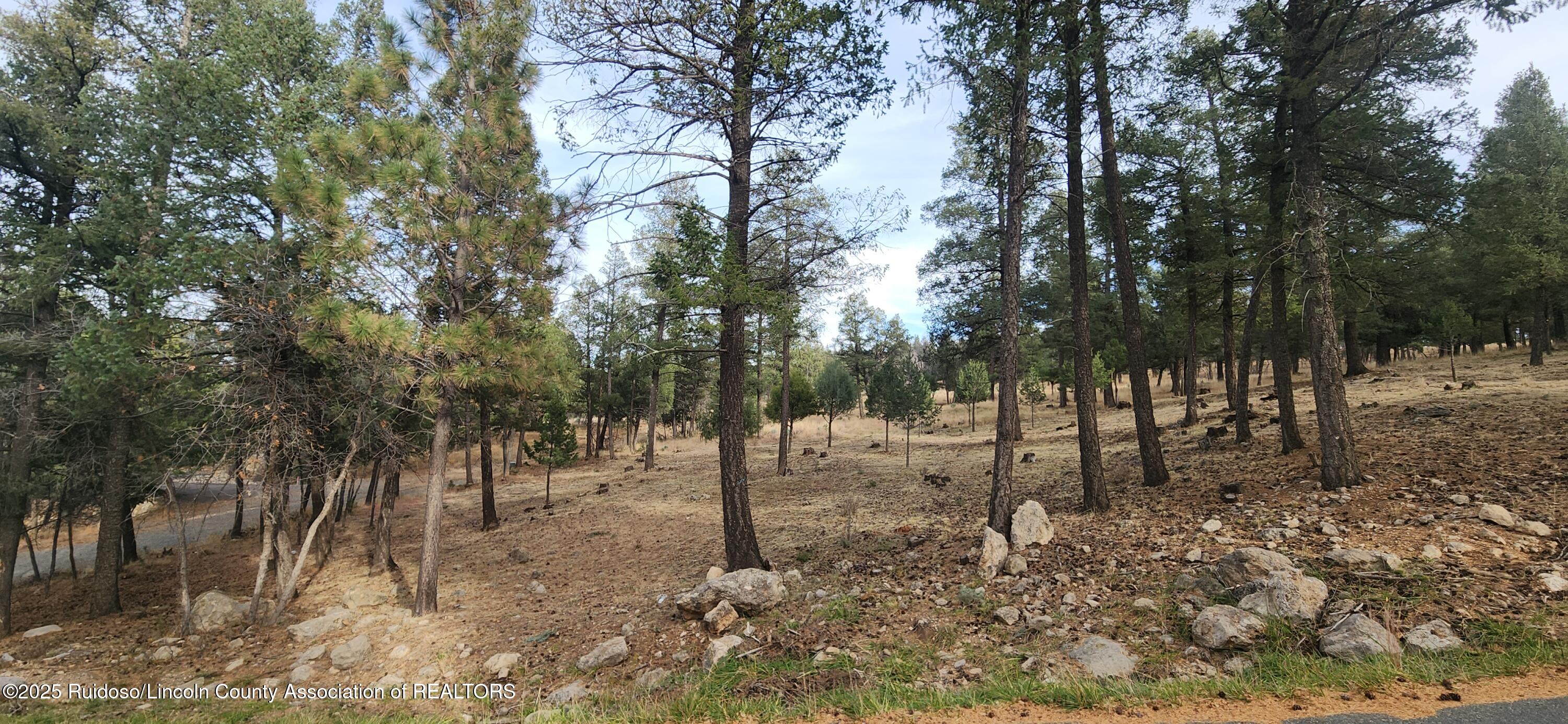 301 Excalibur Road Ruidoso, NM 88345 - Photo 1 of 1 Gallery Image 1