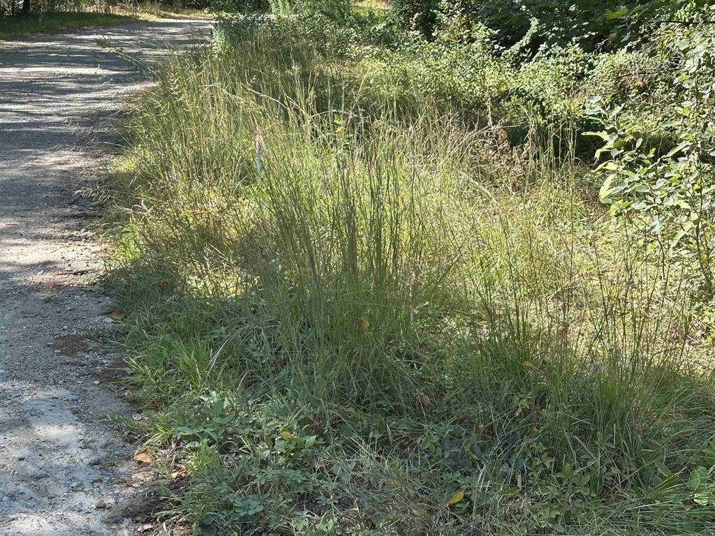 12 Baxter Place Alton, NH 03809 - Photo 12 of 15