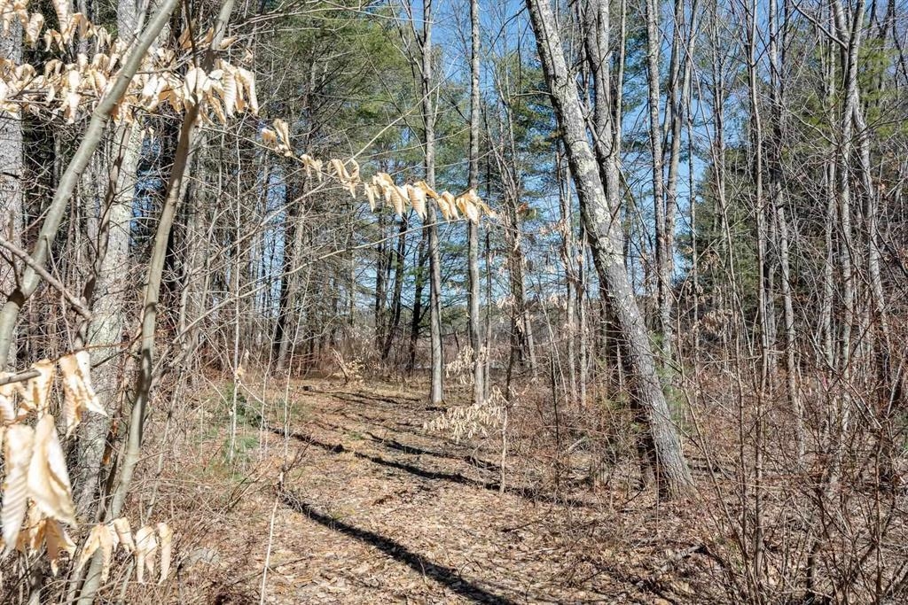 12 Baxter Place Alton, NH 03809 - Photo 5 of 15