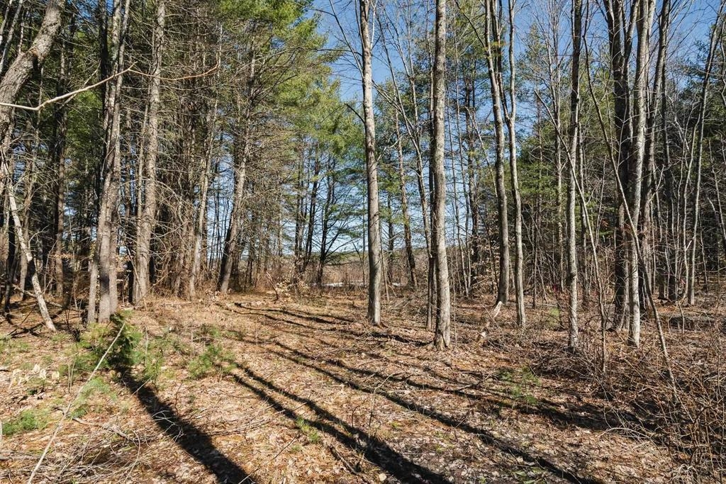 12 Baxter Place Alton, NH 03809 - Photo 6 of 15