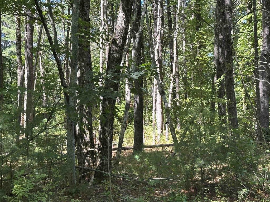 12 Baxter Place Alton, NH 03809 - Photo 9 of 15