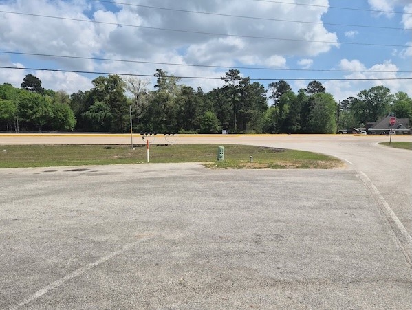 4897 West Davis Street Conroe, TX 77304 - Photo 6 of 7 a view of a yard