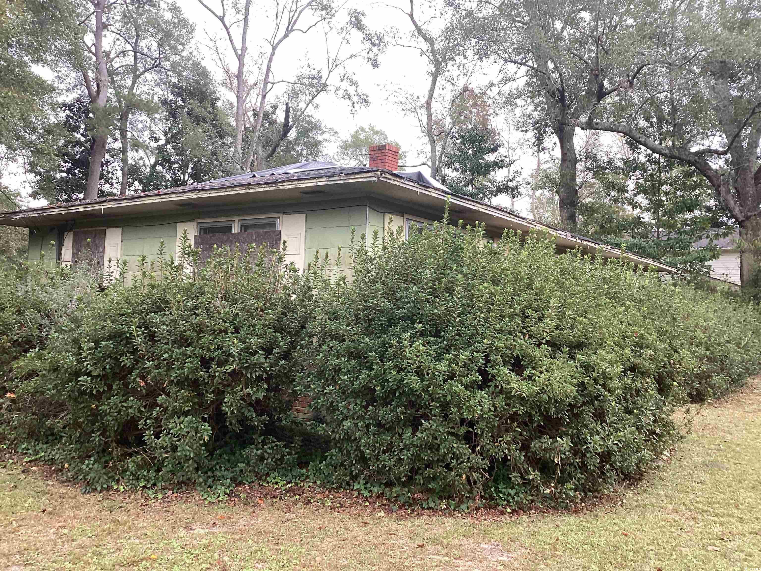 224 State Rd S-21-427 Johnsonville, SC 29555 - Photo 3 of 24 Gallery Image 3