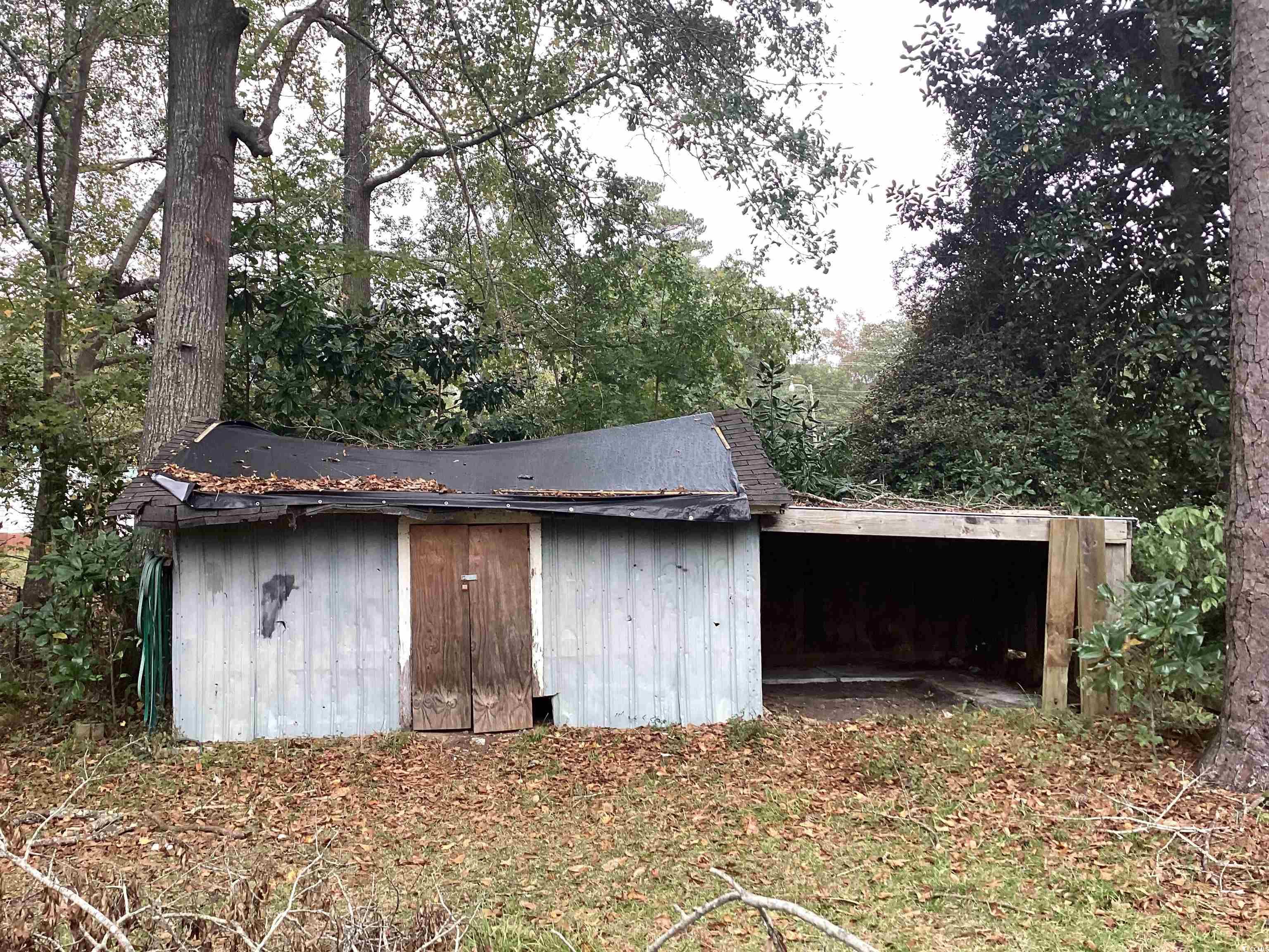 224 State Rd S-21-427 Johnsonville, SC 29555 - Photo 6 of 24 Gallery Image 6