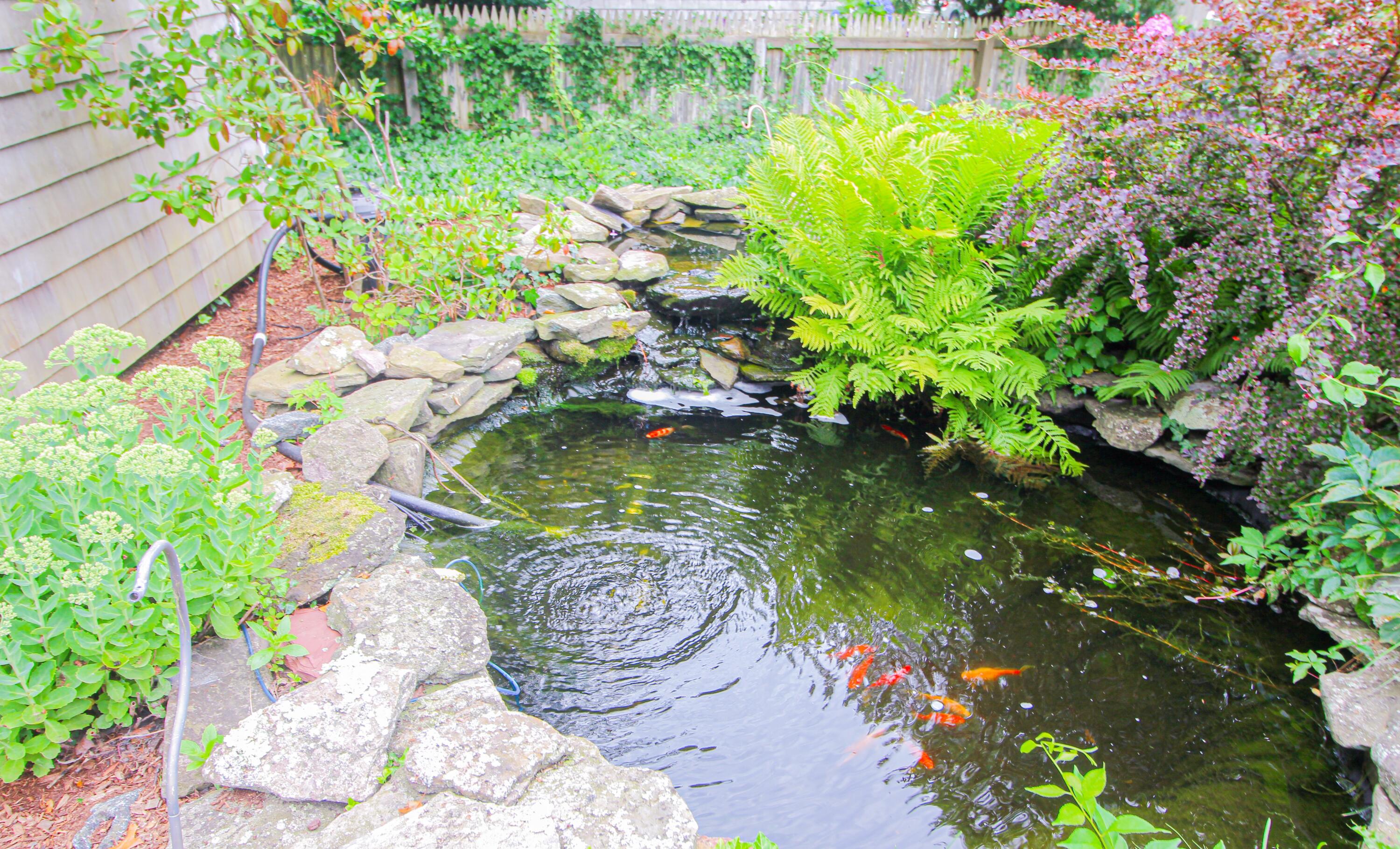 10 Pram Road Hyannis, MA 02601 - Photo 28 of 36 Coy Pond 2