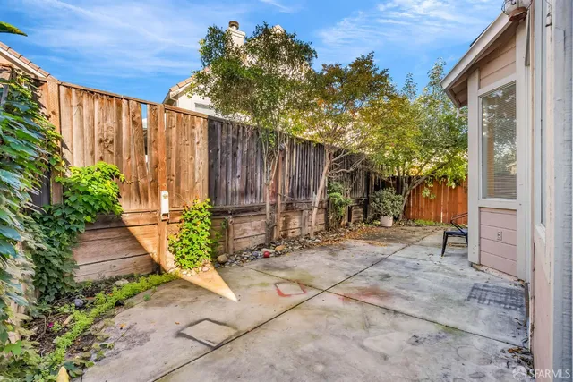 a view of a backyard with potted plants and a large tree