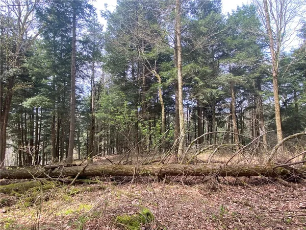 $89,000 | Lot A Piermott Lane, Hartwick, NY 13348