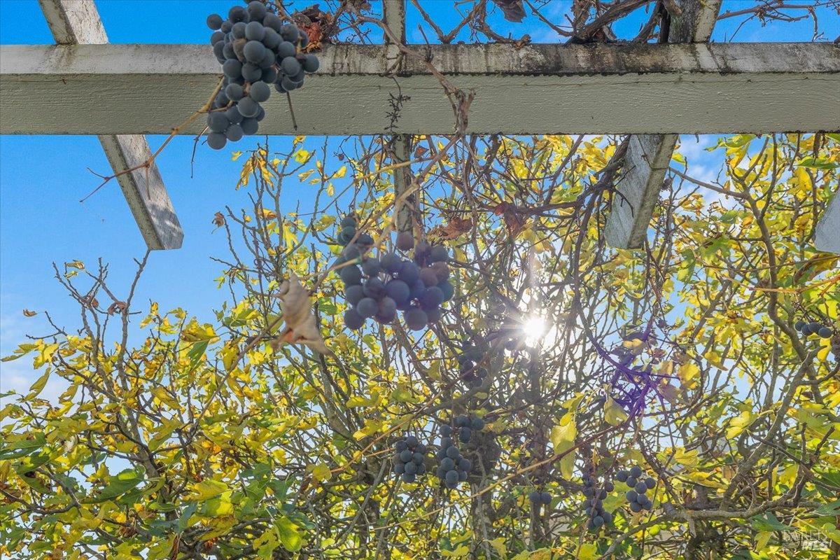 130 11th Street Santa Rosa, CA 95401 - Photo 24 of 50